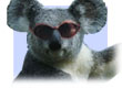 rockhampton tours and activities
